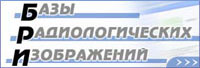 http://nld.hut.ru/bri